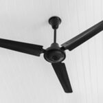 Ceiling Fan